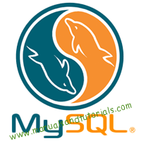 MySQL Manual and user guide in PDF